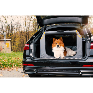Knuffelwuff faltbare Hundebox Auto Transportbox mit...